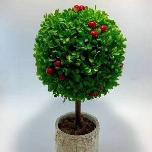 Beautifully crafted Topiary